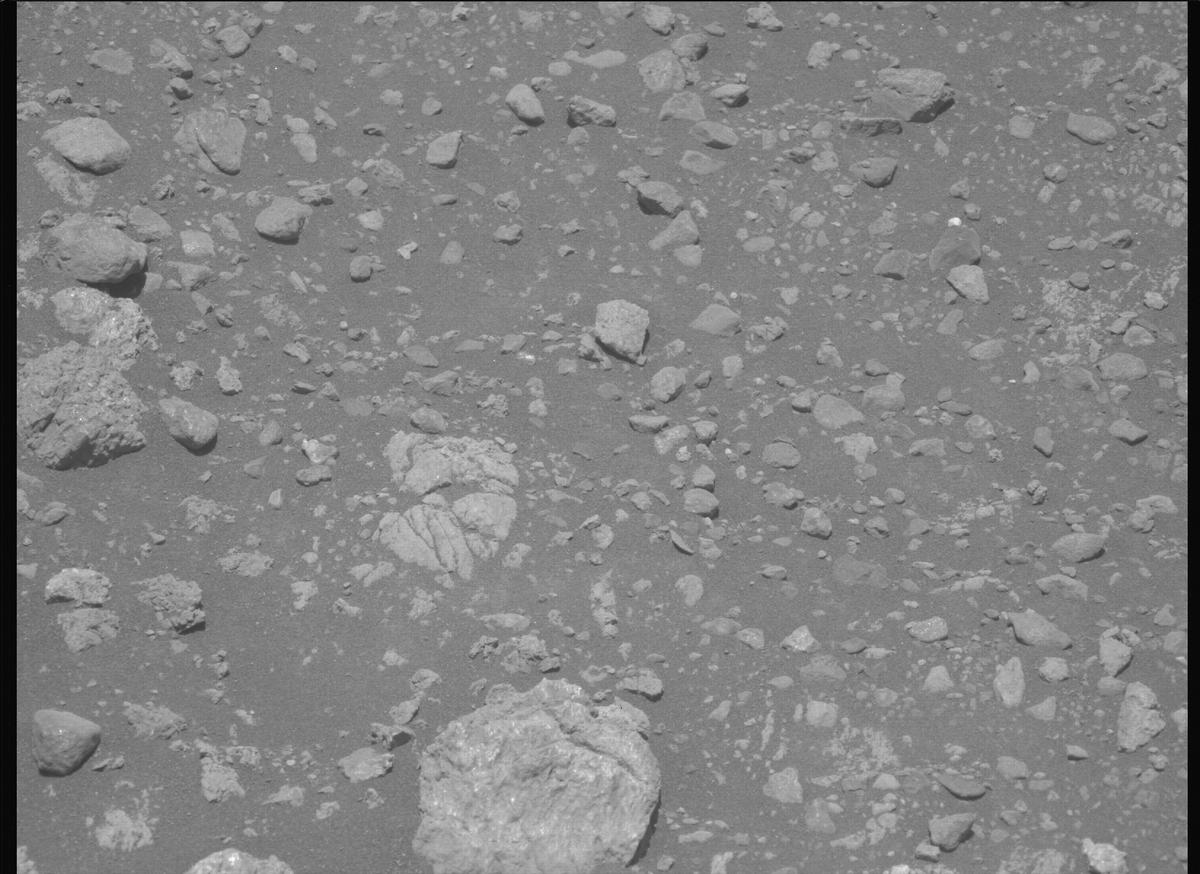 This image was taken by MCZ_LEFT onboard NASA's Mars rover Perseverance on Sol 1629