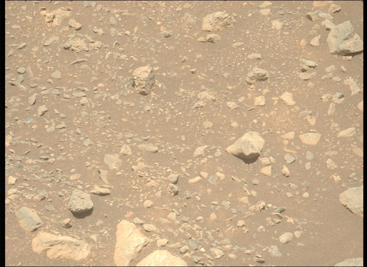 This image was taken by MCZ_LEFT onboard NASA's Mars rover Perseverance on Sol 1629