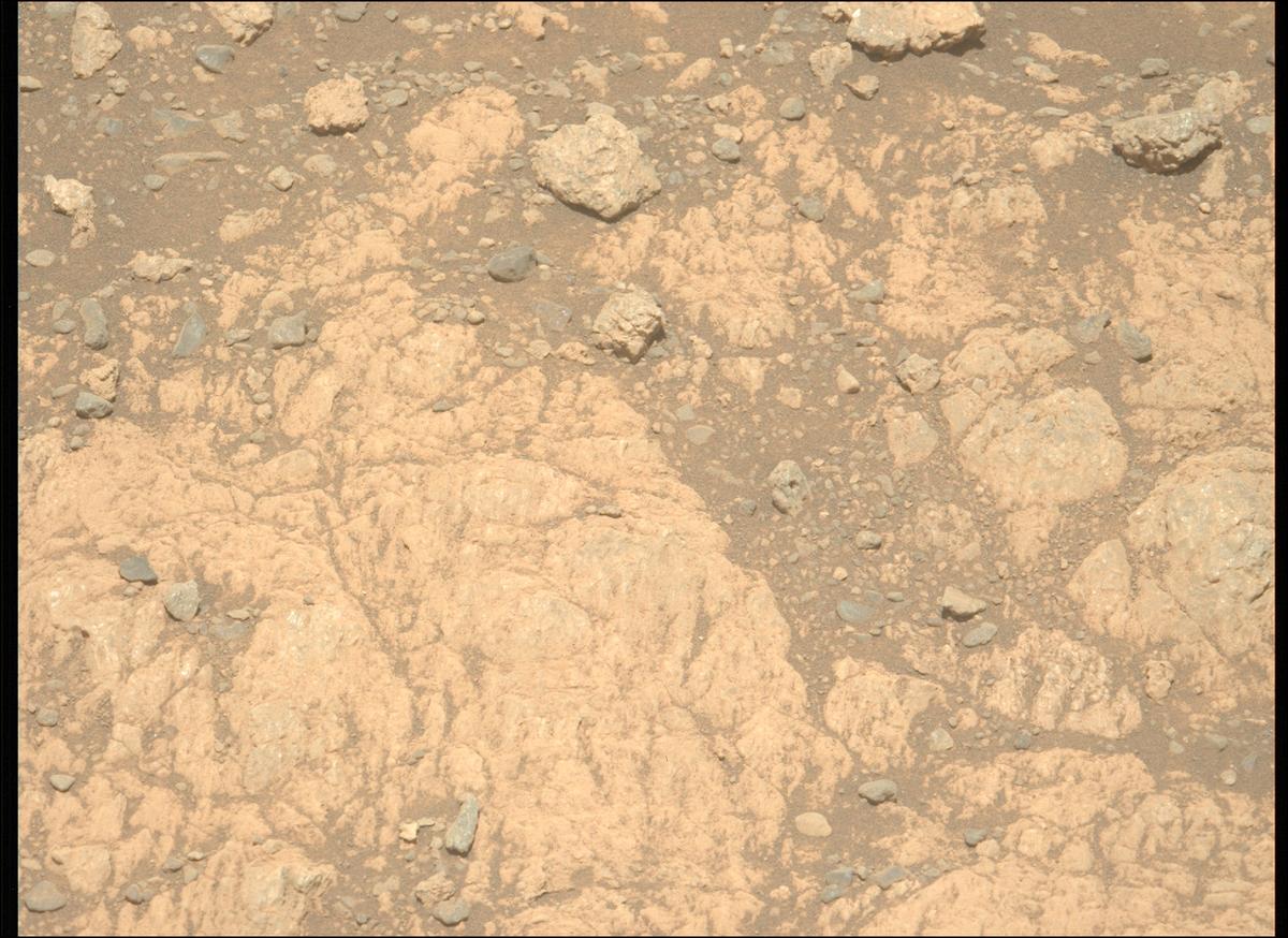 This image was taken by MCZ_LEFT onboard NASA's Mars rover Perseverance on Sol 1629