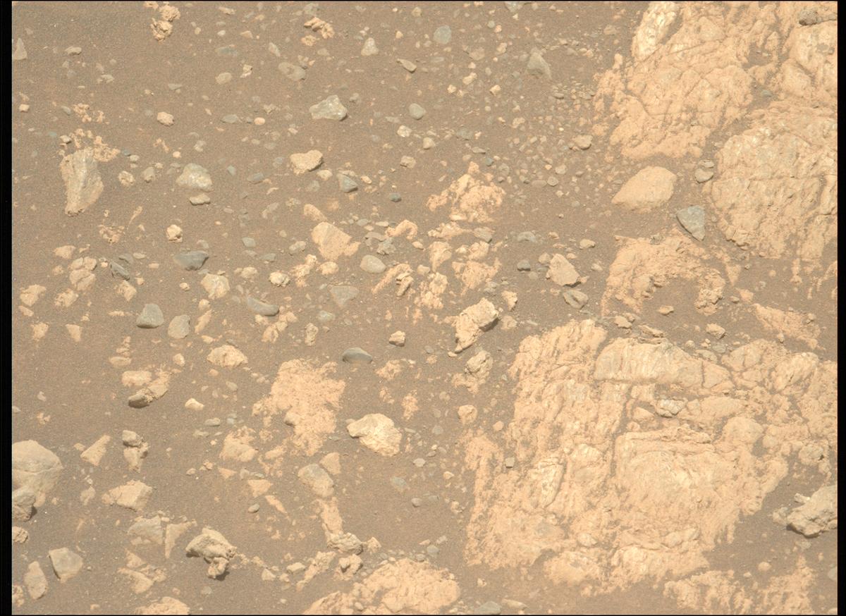 This image was taken by MCZ_LEFT onboard NASA's Mars rover Perseverance on Sol 1629