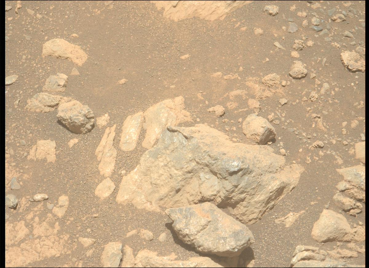 This image was taken by MCZ_LEFT onboard NASA's Mars rover Perseverance on Sol 1629