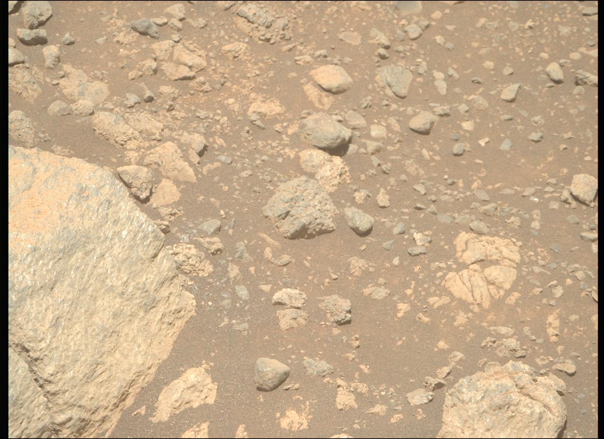 This image was taken by MCZ_RIGHT onboard NASA's Mars rover Perseverance on Sol 1629