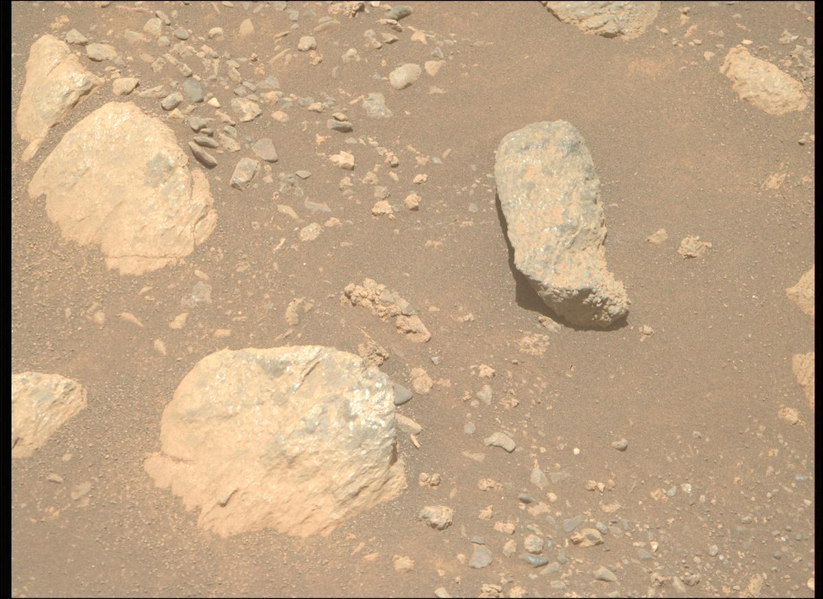 This image was taken by MCZ_RIGHT onboard NASA's Mars rover Perseverance on Sol 1629