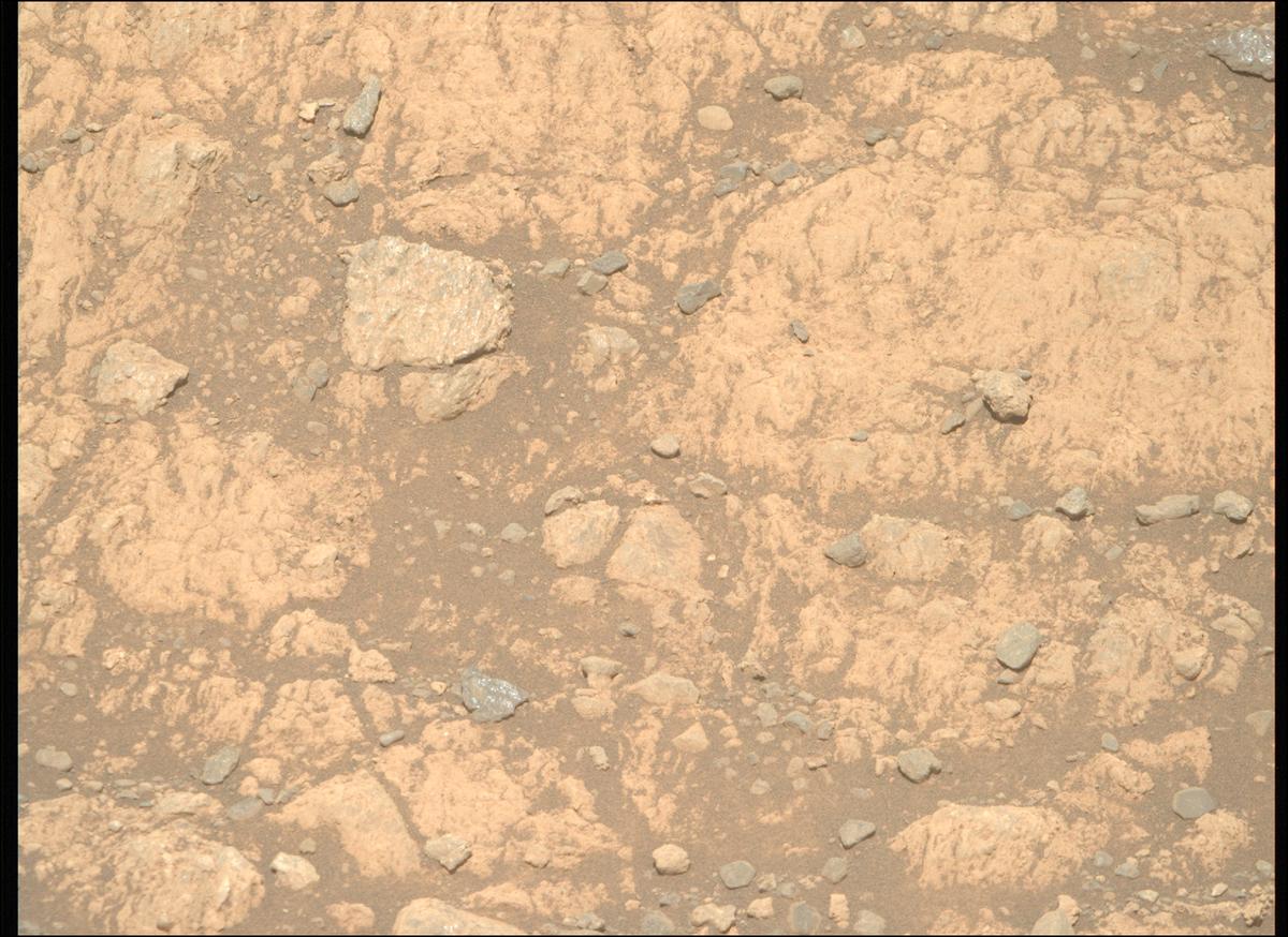 This image was taken by MCZ_RIGHT onboard NASA's Mars rover Perseverance on Sol 1629
