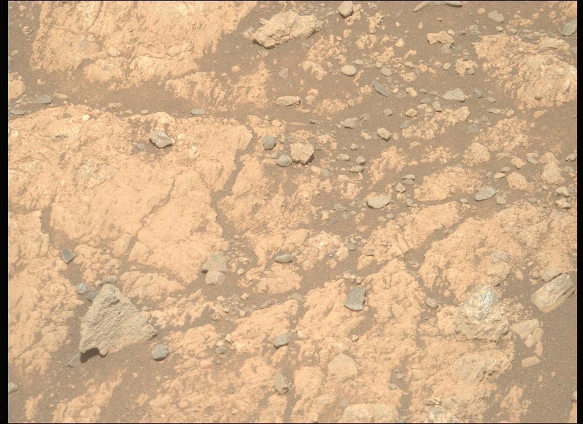 This image was taken by MCZ_RIGHT onboard NASA's Mars rover Perseverance on Sol 1629