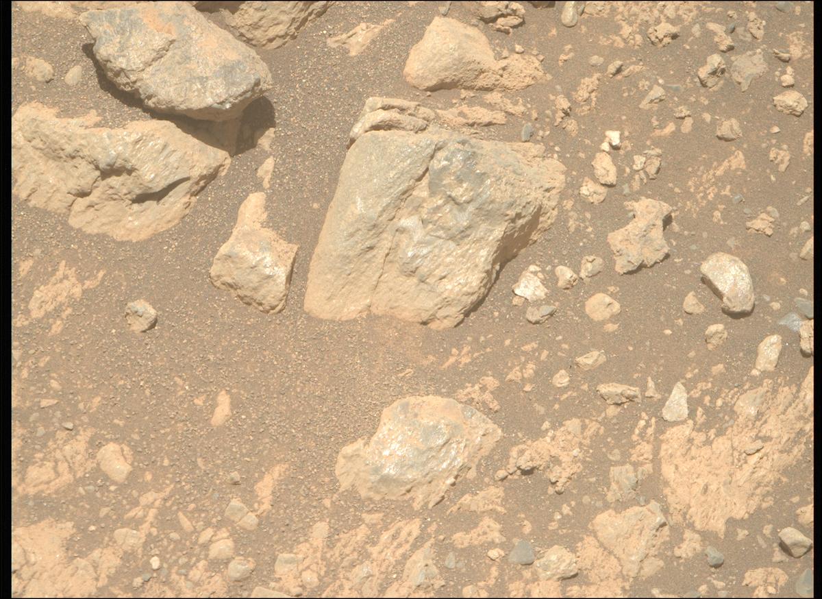 This image was taken by MCZ_RIGHT onboard NASA's Mars rover Perseverance on Sol 1629