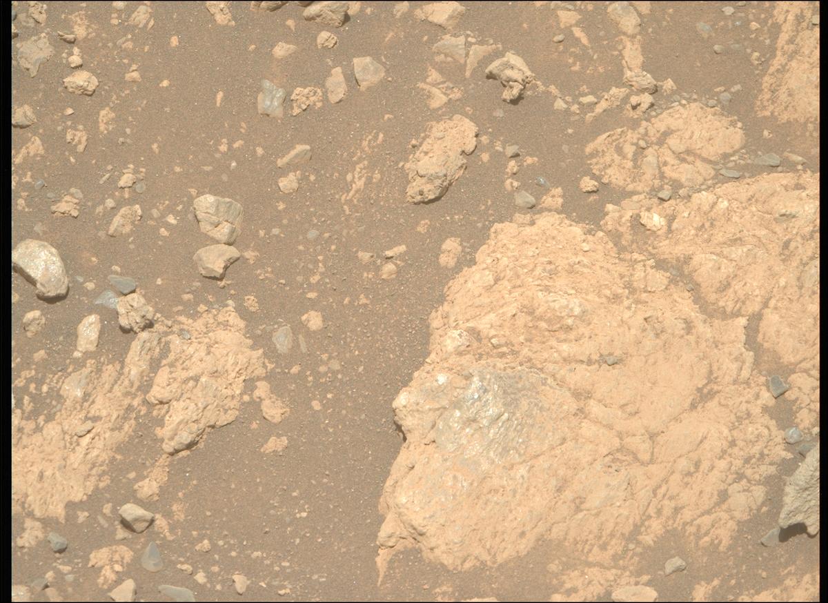This image was taken by MCZ_RIGHT onboard NASA's Mars rover Perseverance on Sol 1629