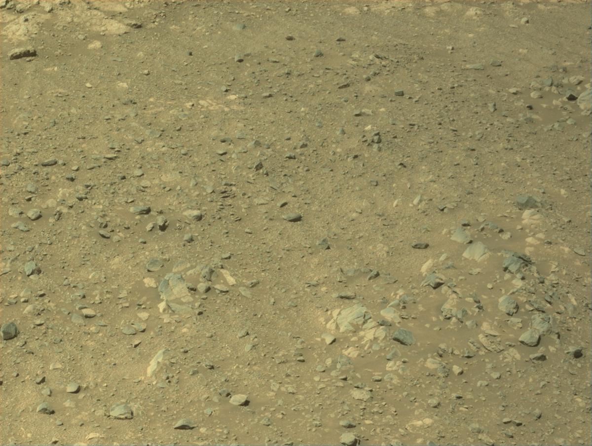 This image was taken by NAVCAM_LEFT onboard NASA's Mars rover Perseverance on Sol 1630