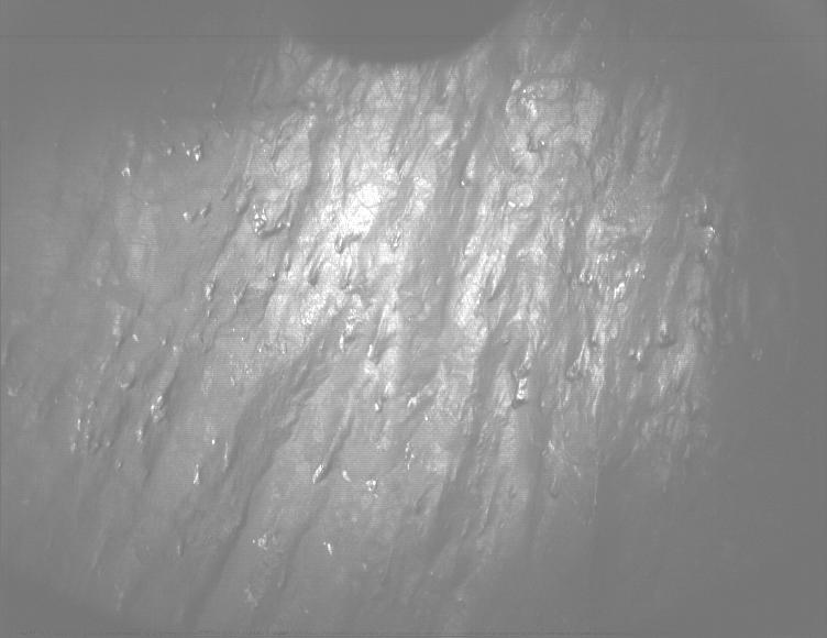 This image was taken by PIXL_MCC onboard NASA's Mars rover Perseverance on Sol 1630