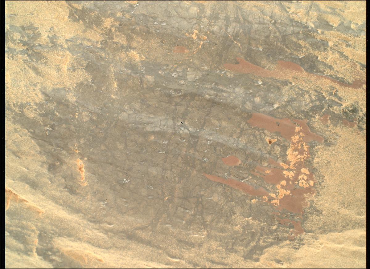 This image was taken by SHERLOC_WATSON onboard NASA's Mars rover Perseverance on Sol 1630