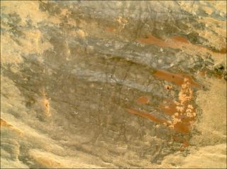 View image taken on Mars, Mars Perseverance Sol 1630: WATSON Camera 