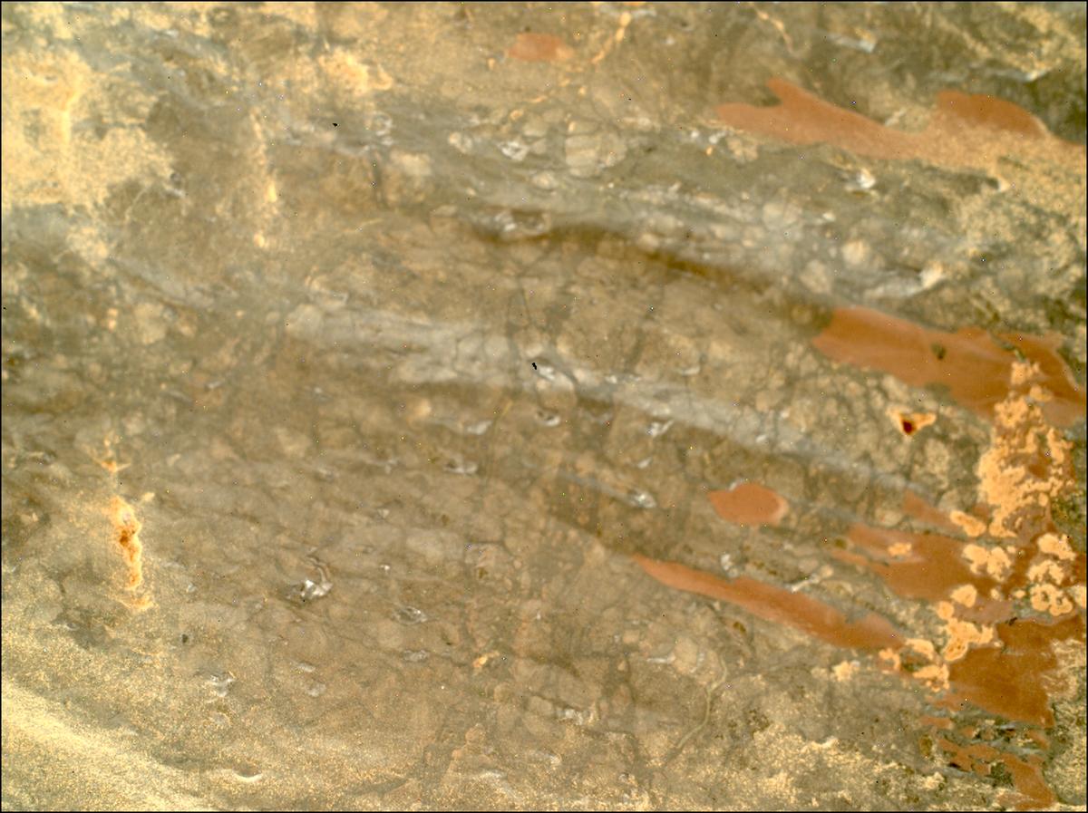 This image was taken by SHERLOC_WATSON onboard NASA's Mars rover Perseverance on Sol 1630