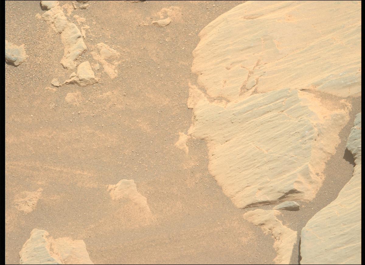 This image was taken by MCZ_LEFT onboard NASA's Mars rover Perseverance on Sol 1630