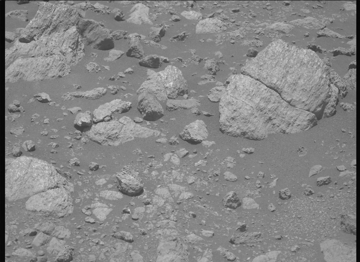 This image was taken by MCZ_LEFT onboard NASA's Mars rover Perseverance on Sol 1630