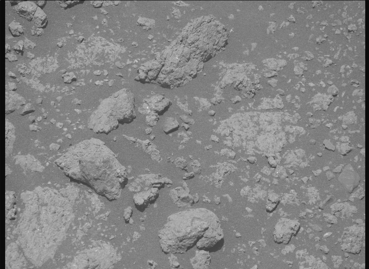 This image was taken by MCZ_RIGHT onboard NASA's Mars rover Perseverance on Sol 1630