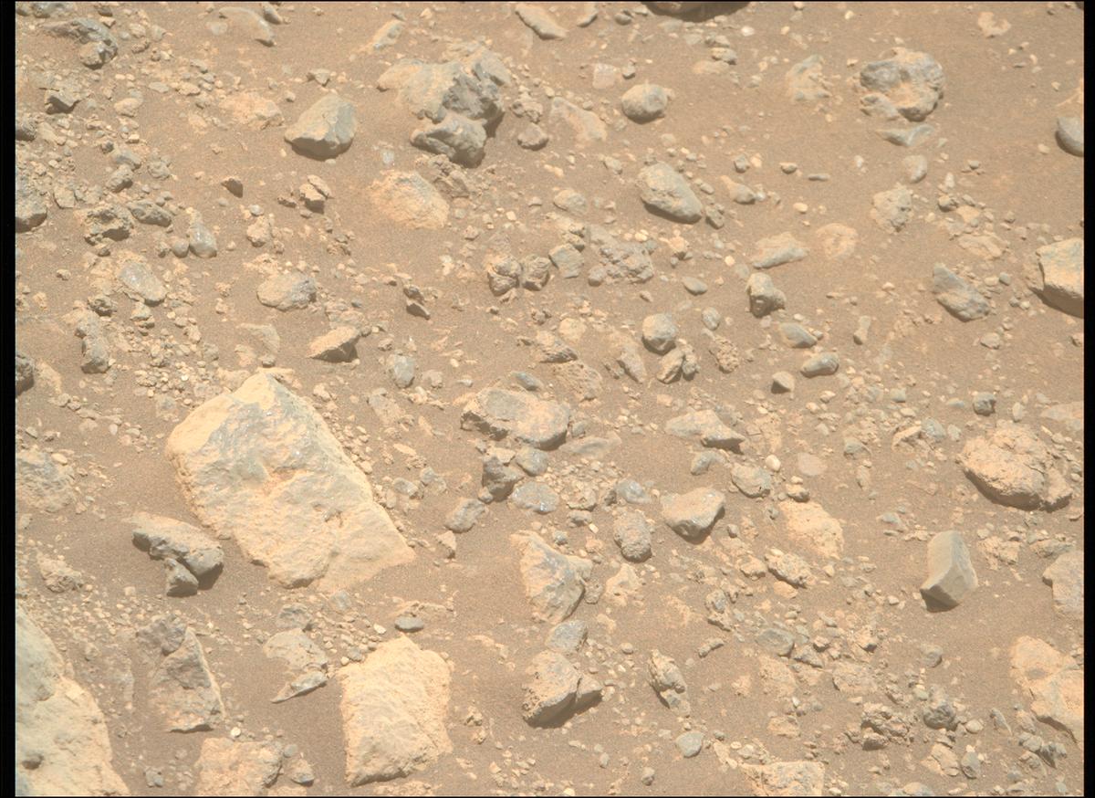 This image was taken by MCZ_RIGHT onboard NASA's Mars rover Perseverance on Sol 1630