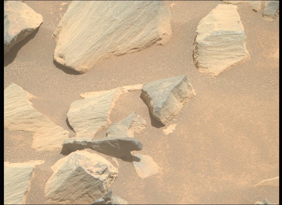 This image was taken by MCZ_RIGHT onboard NASA's Mars rover Perseverance on Sol 1630