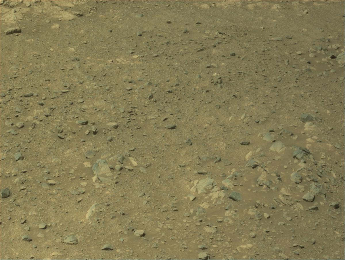 This image was taken by NAVCAM_LEFT onboard NASA's Mars rover Perseverance on Sol 1631