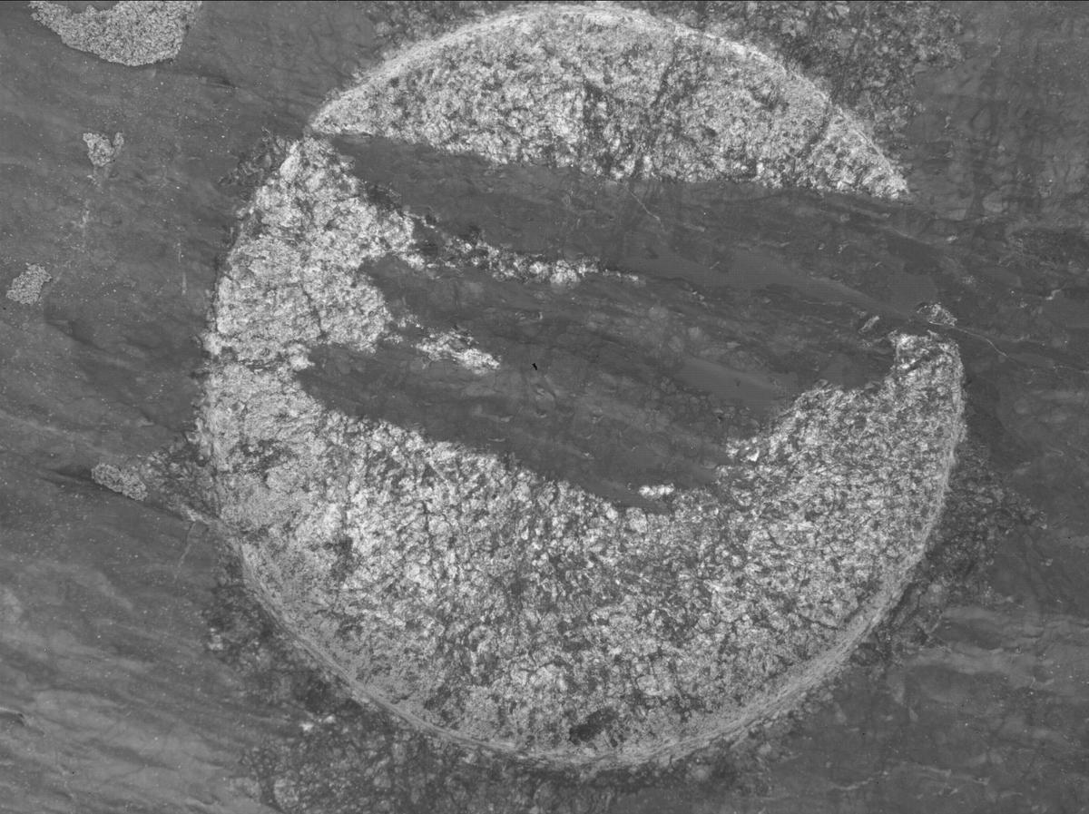 This image was taken by SHERLOC_WATSON onboard NASA's Mars rover Perseverance on Sol 1631