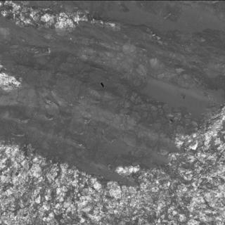 View image taken on Mars, Mars Perseverance Sol 1631: WATSON Camera 