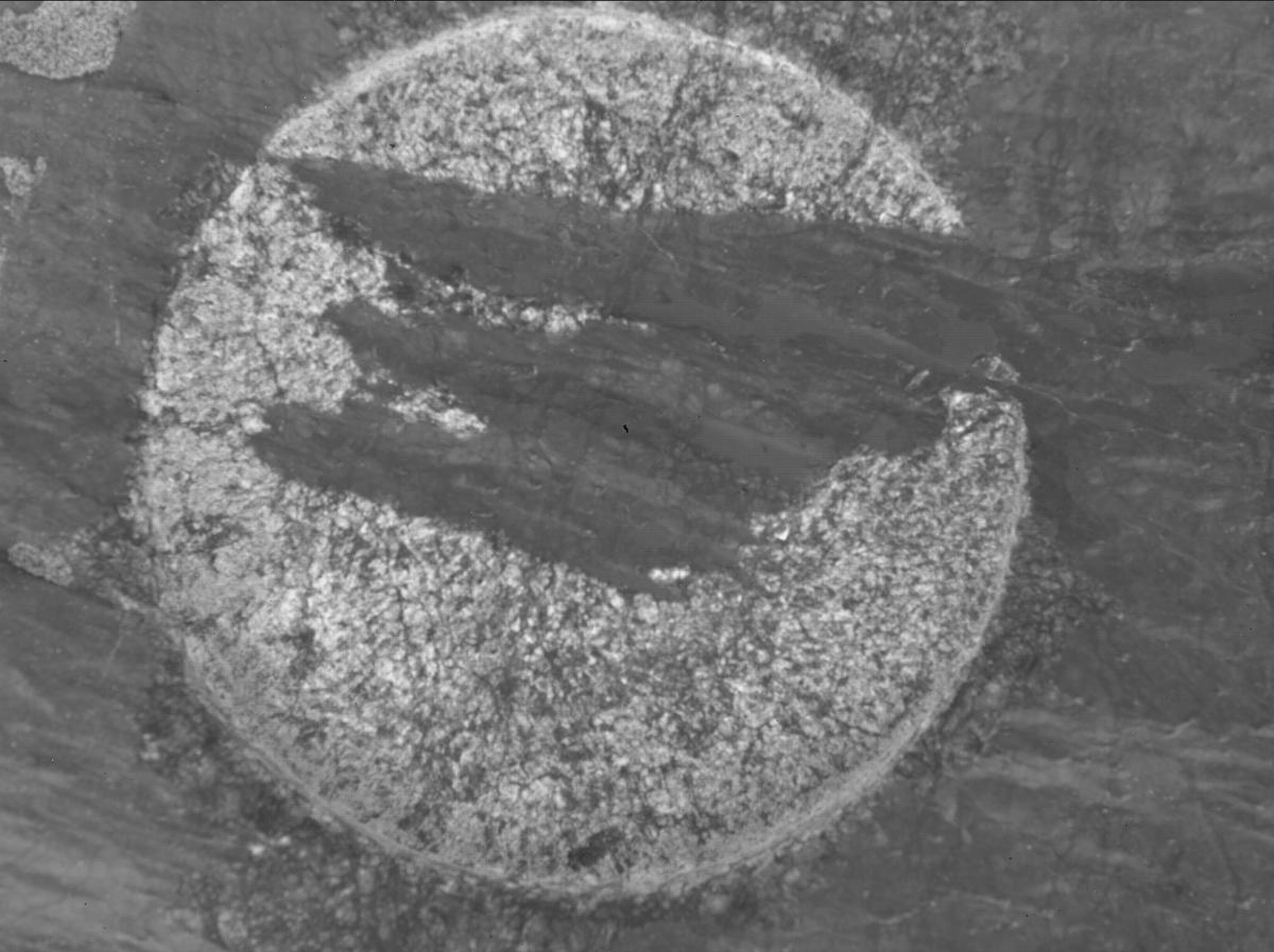 This image was taken by SHERLOC_WATSON onboard NASA's Mars rover Perseverance on Sol 1631