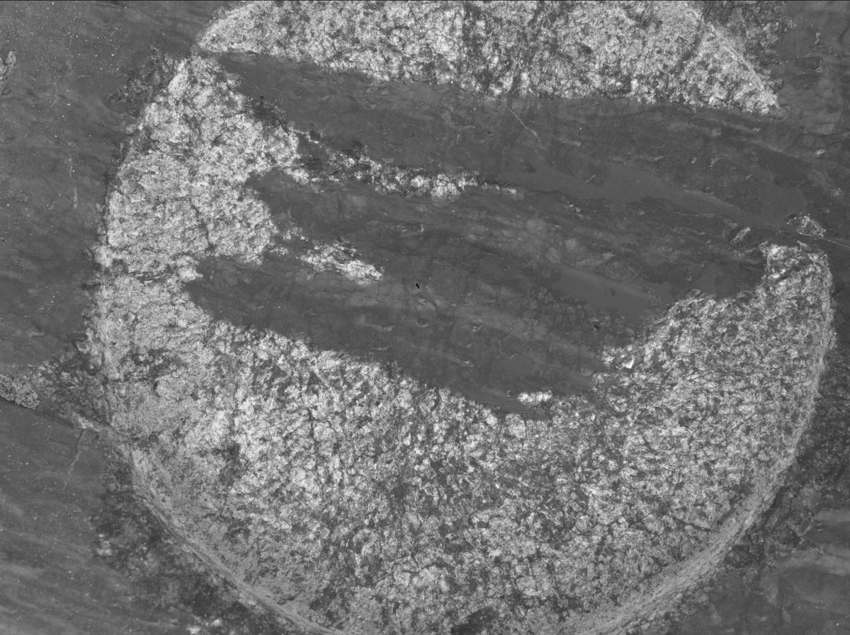 This image was taken by SHERLOC_WATSON onboard NASA's Mars rover Perseverance on Sol 1631