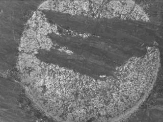 View image taken on Mars, Mars Perseverance Sol 1631: WATSON Camera 