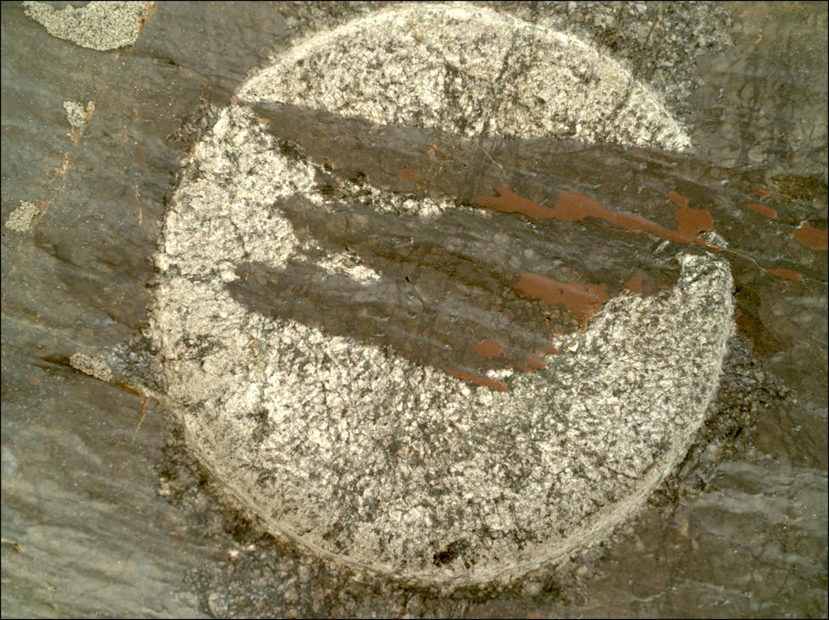 This image was taken by SHERLOC_WATSON onboard NASA's Mars rover Perseverance on Sol 1631