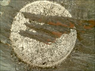 View image taken on Mars, Mars Perseverance Sol 1631: WATSON Camera 