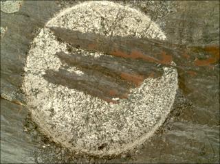 View image taken on Mars, Mars Perseverance Sol 1631: WATSON Camera 