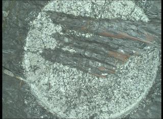 View image taken on Mars, Mars Perseverance Sol 1631: WATSON Camera 