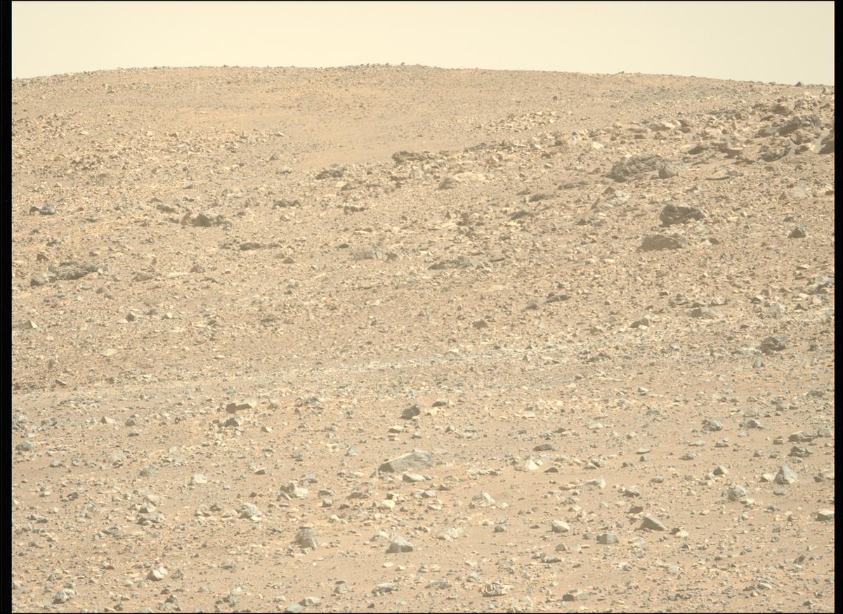 This image was taken by MCZ_LEFT onboard NASA's Mars rover Perseverance on Sol 1632
