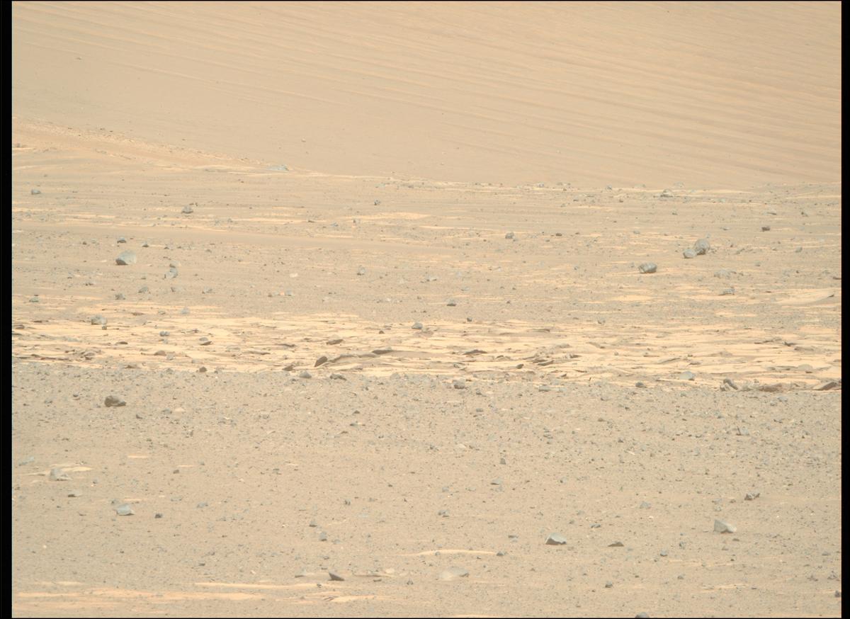This image was taken by MCZ_RIGHT onboard NASA's Mars rover Perseverance on Sol 1632