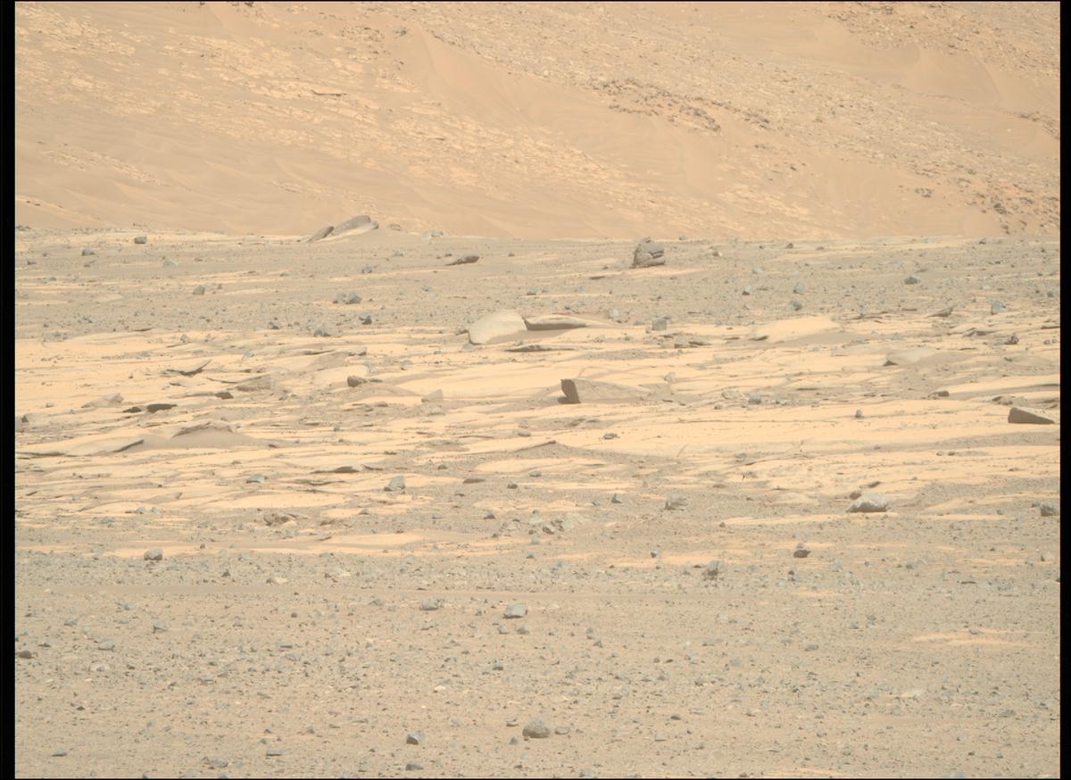 This image was taken by MCZ_RIGHT onboard NASA's Mars rover Perseverance on Sol 1632