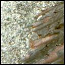 This image was taken by MCZ_RIGHT onboard NASA's Mars rover Perseverance on Sol 1632