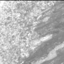 This image was taken by MCZ_RIGHT onboard NASA's Mars rover Perseverance on Sol 1632