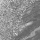 This image was taken by MCZ_RIGHT onboard NASA's Mars rover Perseverance on Sol 1632