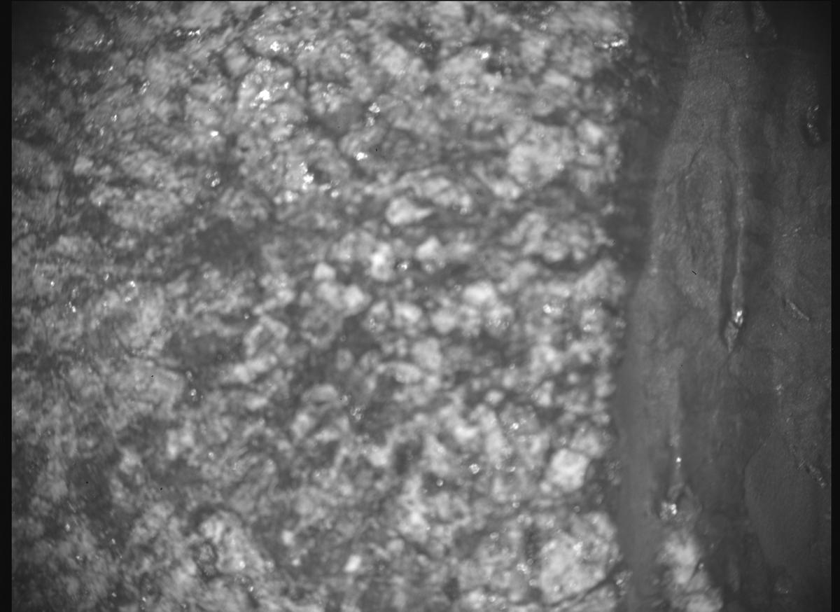 This image was taken by SHERLOC_ACI onboard NASA's Mars rover Perseverance on Sol 1633