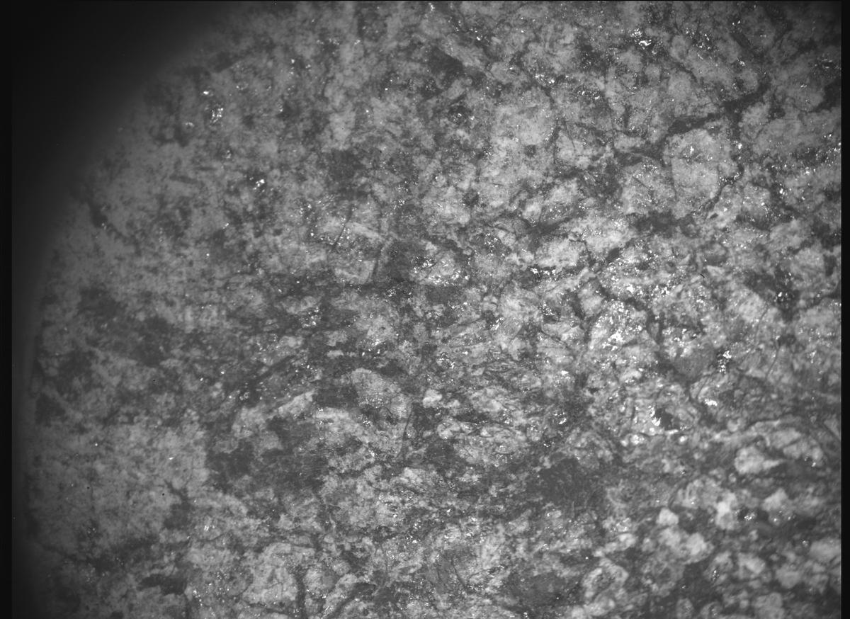 This image was taken by SHERLOC_ACI onboard NASA's Mars rover Perseverance on Sol 1633