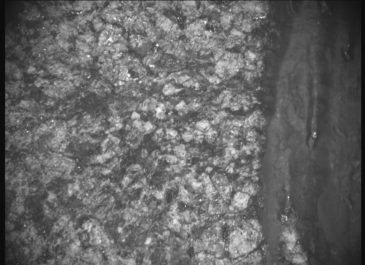 This image was taken by SHERLOC_ACI onboard NASA's Mars rover Perseverance on Sol 1633