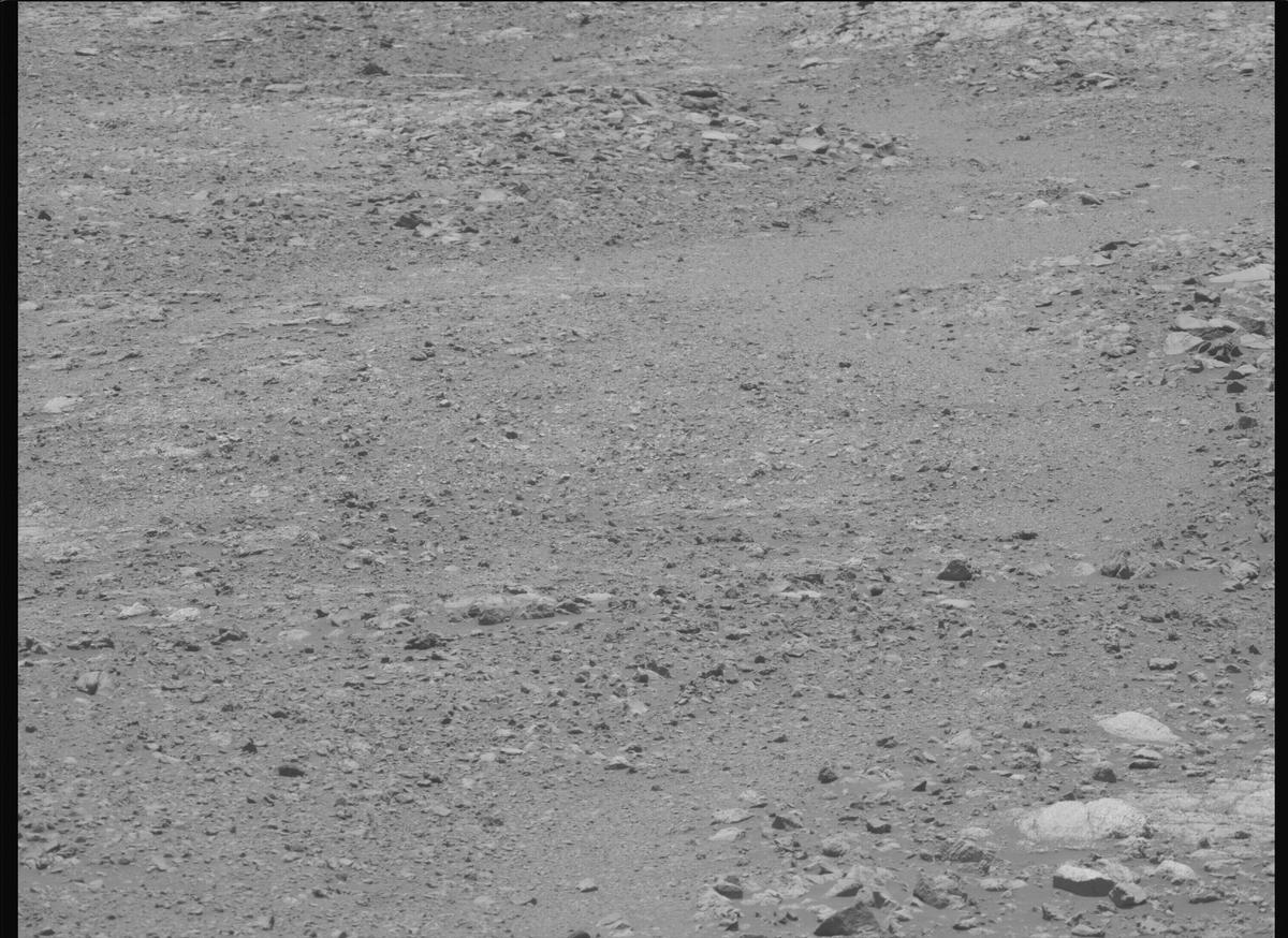 This image was taken by MCZ_LEFT onboard NASA's Mars rover Perseverance on Sol 1633