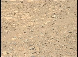 View image taken on Mars, Mars Perseverance Sol 1633: Left Mastcam-Z Camera
