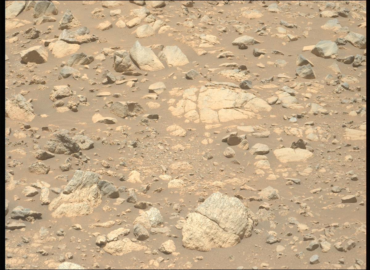 This image was taken by MCZ_LEFT onboard NASA's Mars rover Perseverance on Sol 1633