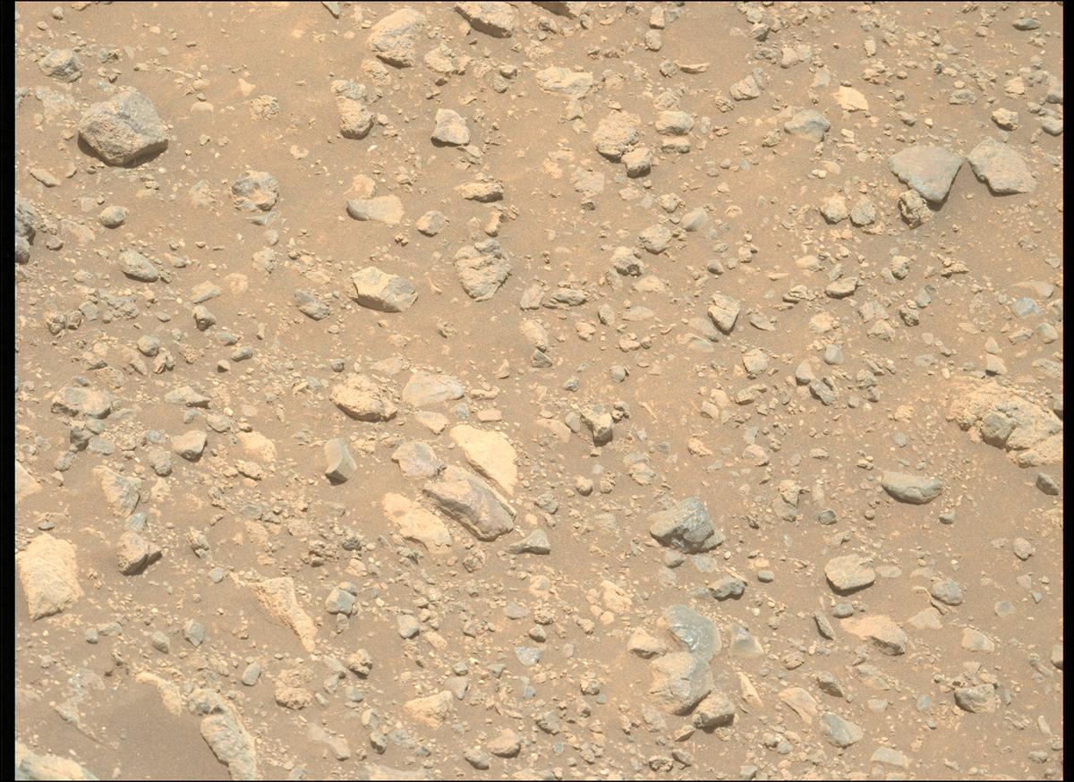 This image was taken by MCZ_LEFT onboard NASA's Mars rover Perseverance on Sol 1633
