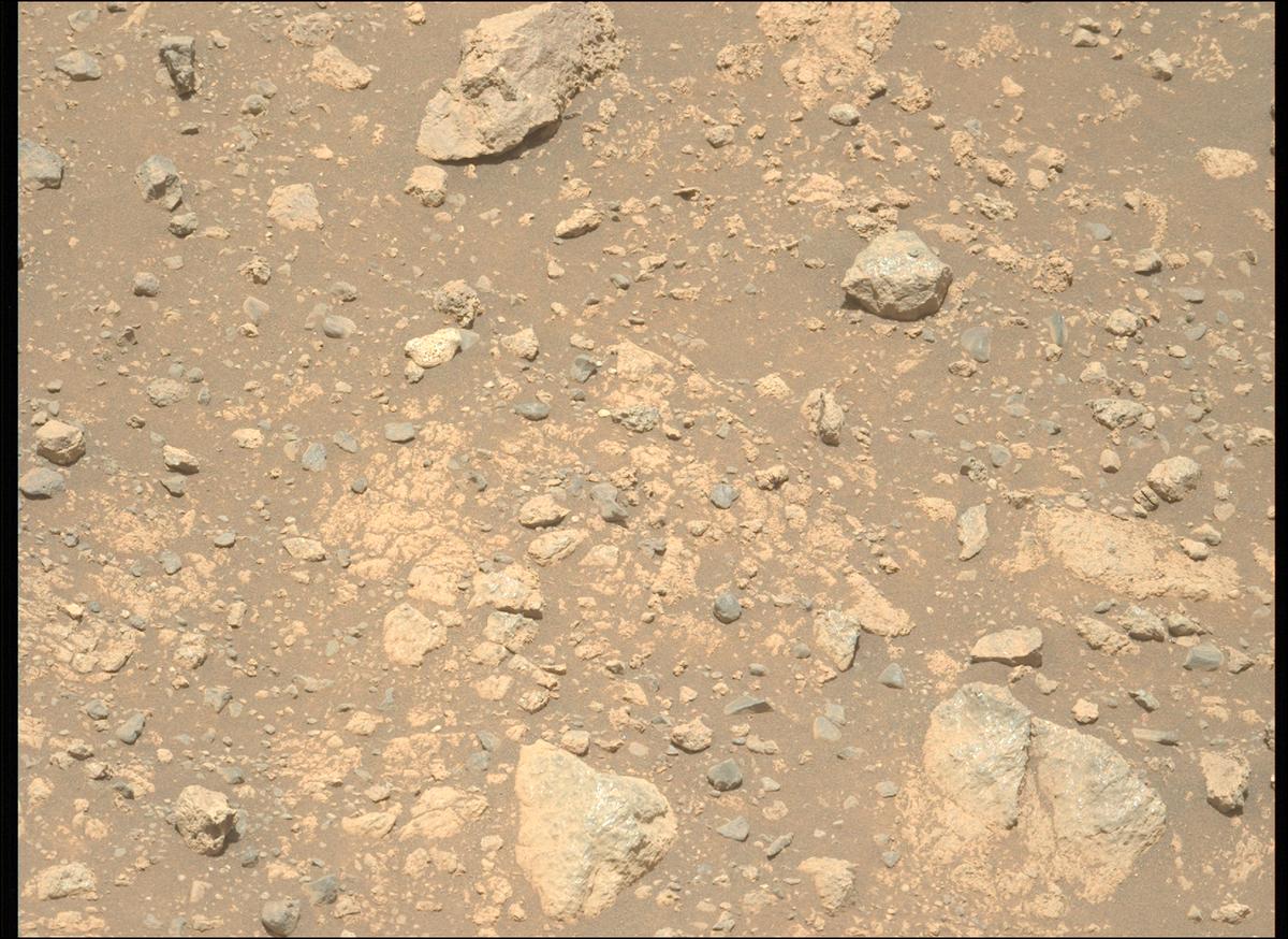 This image was taken by MCZ_LEFT onboard NASA's Mars rover Perseverance on Sol 1633