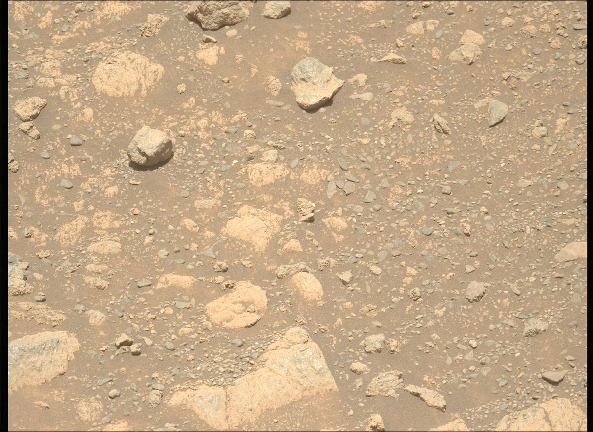 This image was taken by MCZ_LEFT onboard NASA's Mars rover Perseverance on Sol 1633
