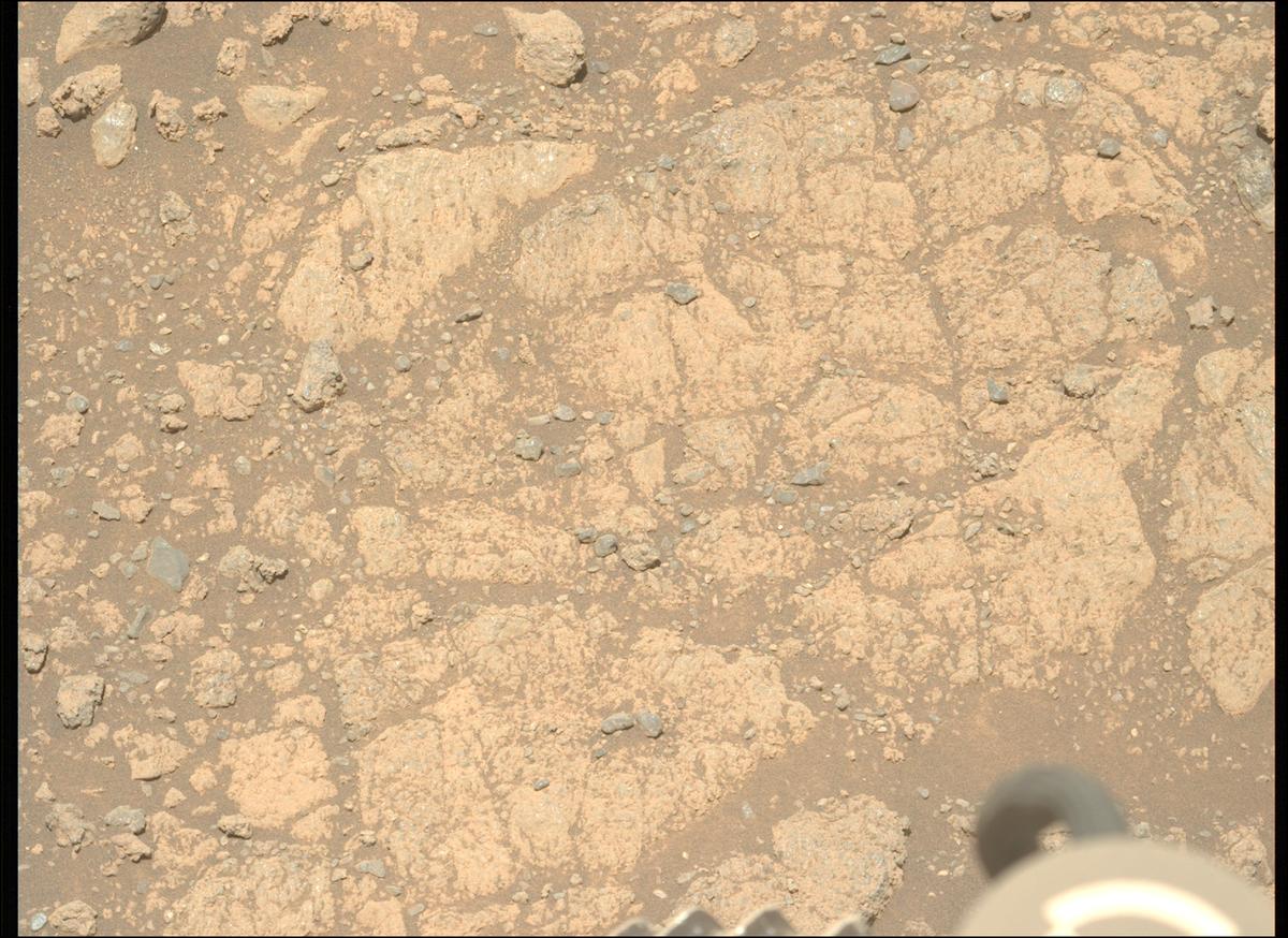 This image was taken by MCZ_LEFT onboard NASA's Mars rover Perseverance on Sol 1633