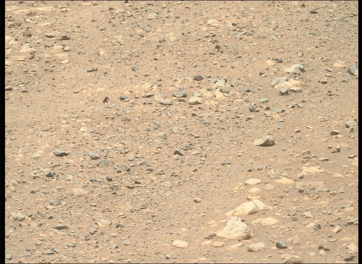 This image was taken by MCZ_RIGHT onboard NASA's Mars rover Perseverance on Sol 1633