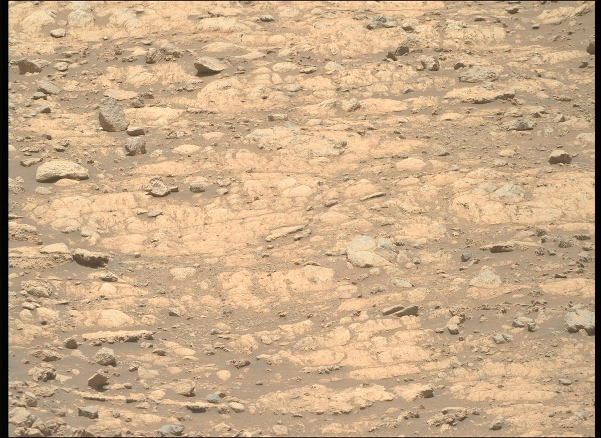 This image was taken by MCZ_RIGHT onboard NASA's Mars rover Perseverance on Sol 1633