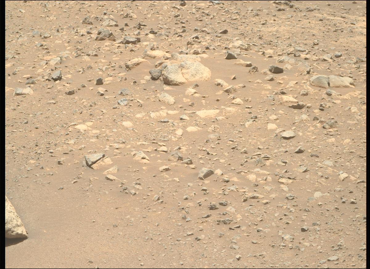 This image was taken by MCZ_RIGHT onboard NASA's Mars rover Perseverance on Sol 1633